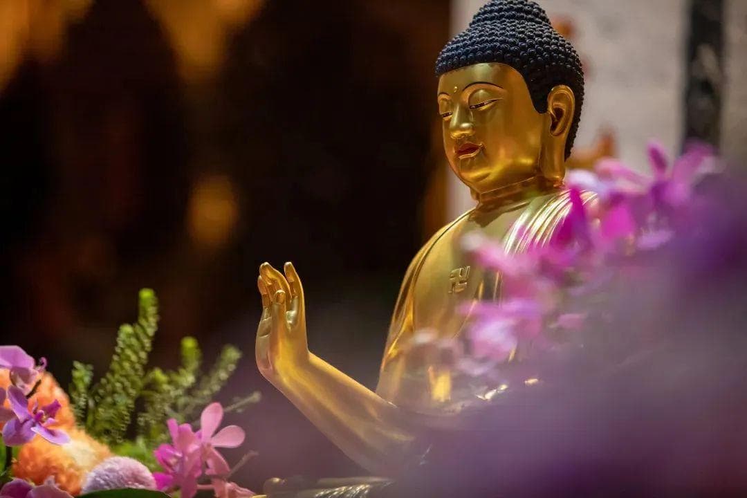 恢复纯阳之体，百病不侵的秘诀！