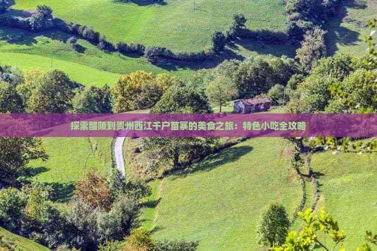 从醴陵到西江：一场跨越千里的美食之旅
