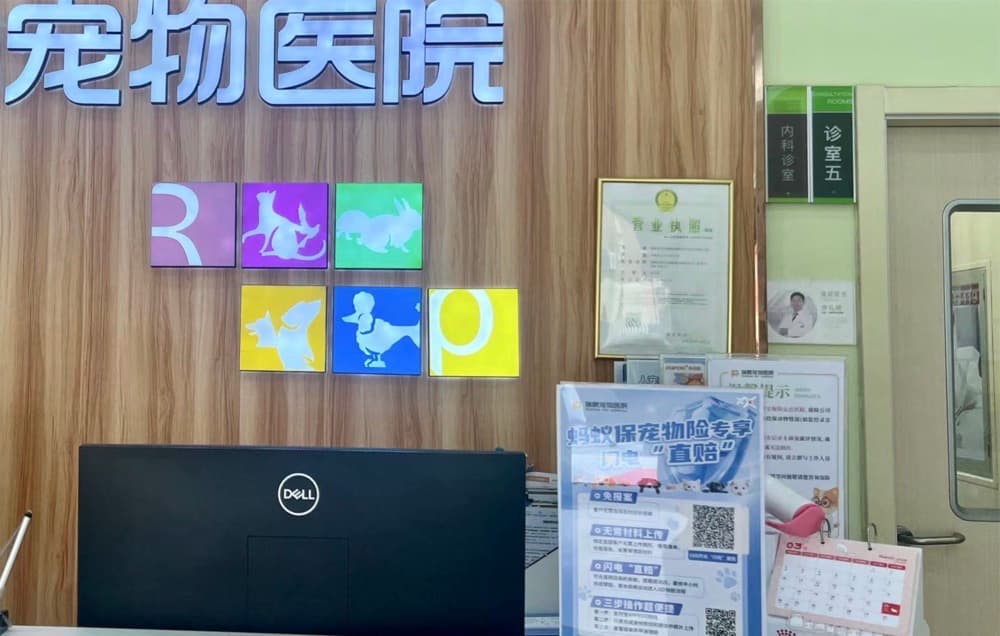 给宠物买医保真划算吗？消费者吐槽理赔陷阱多