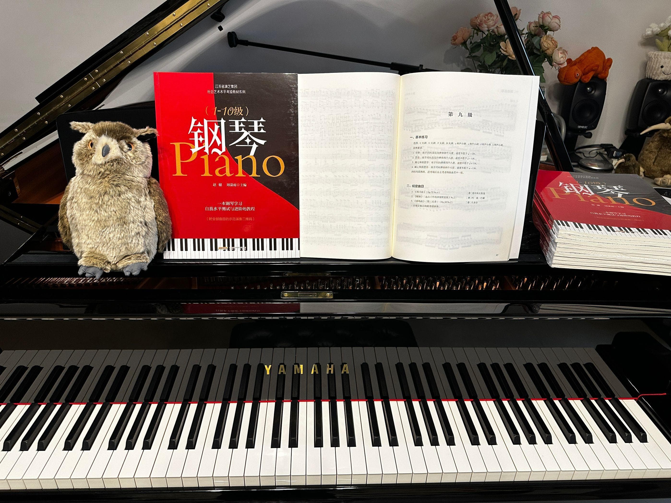 江苏省演艺集团钢琴考级第九级曲目详解及演奏示范