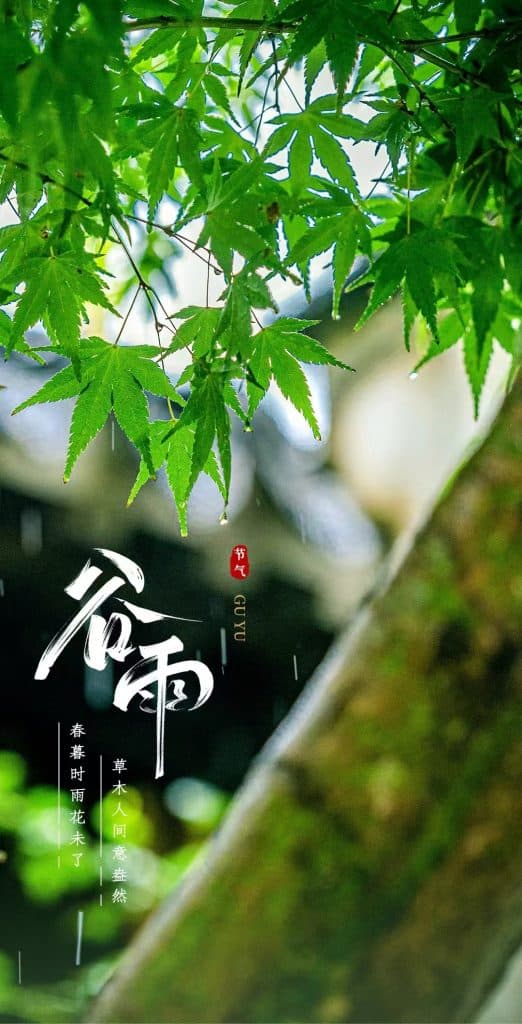食养二十四节气——谷雨：润养生机，顺时调养正当时