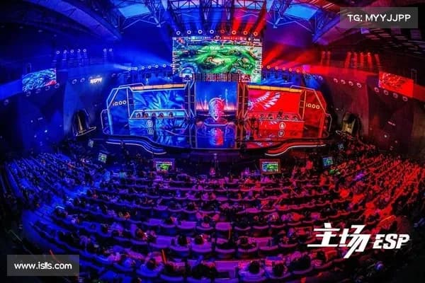 王者荣耀职业战队人员配置与角色分配深度解析