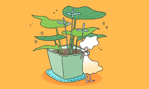 理科和工科有什么区别 具体有哪些不同