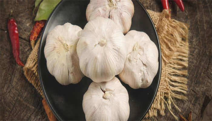 冬季大棚大蒜种植技术详解