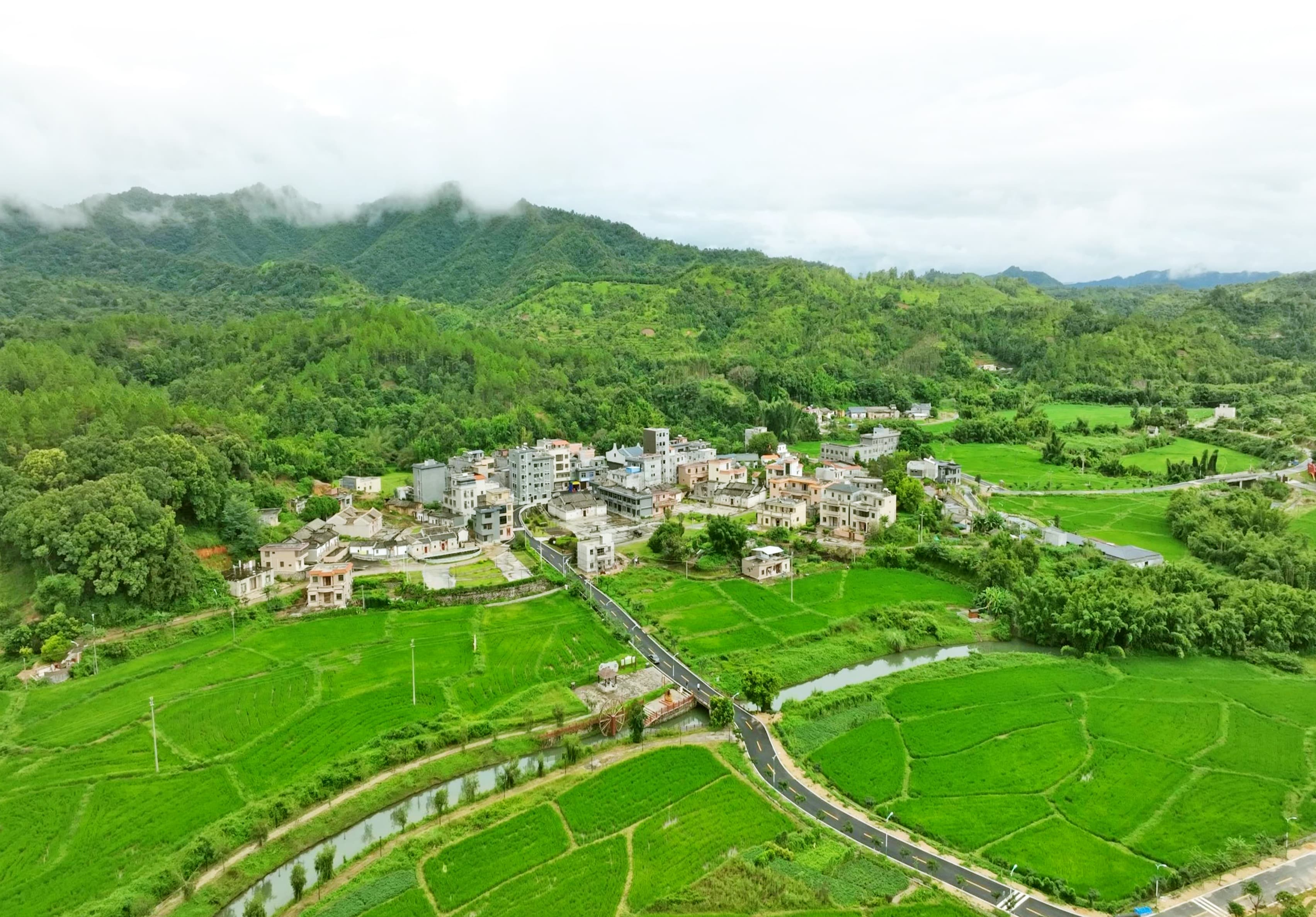 惠东解决撂荒地复耕复种案例入选省农村土地综合改革典型