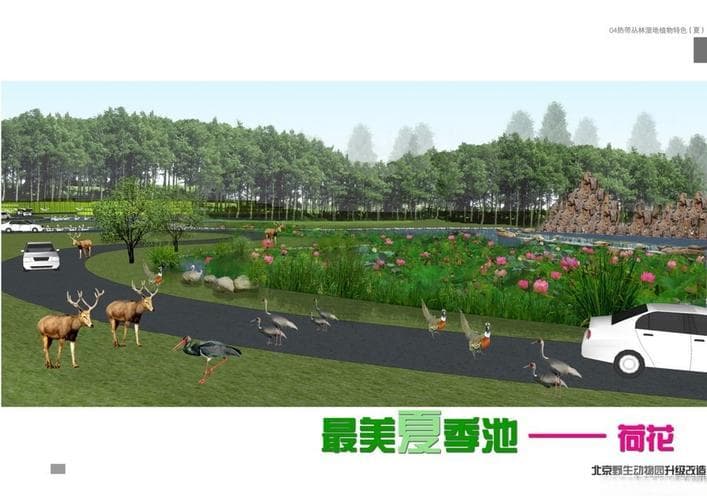 动物园的设计规划：如何从零开始写一份令人惊艳的动物园方案？！