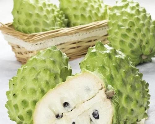 酸角的成熟过程及采摘方法（掌握正确时间和技巧，品尝酸角的美味）