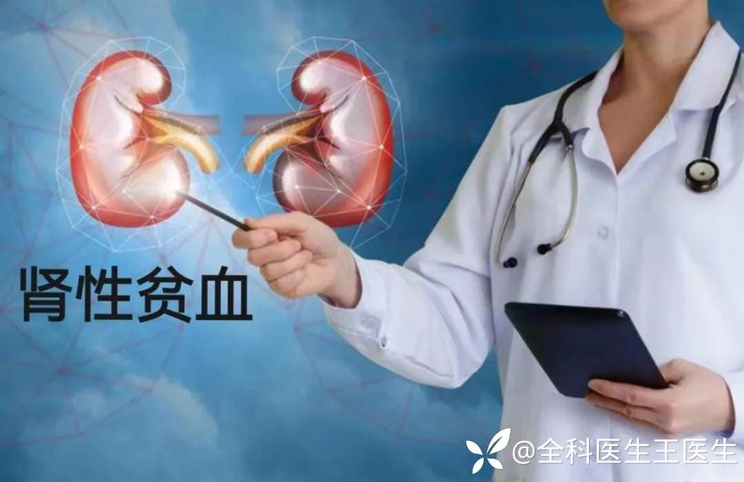 “肾性贫血”知多少？