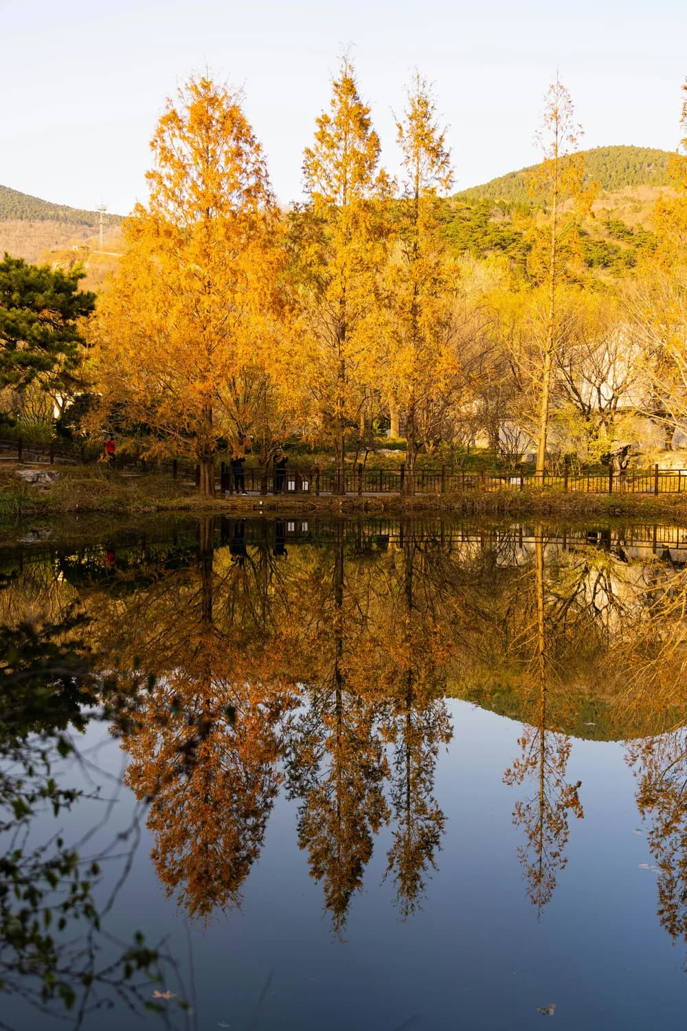 秋日自驾打卡：淄博齐长城风景廊道
