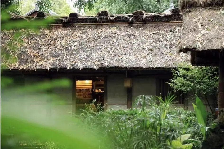 来成都逛杜甫草堂，步子不要太快