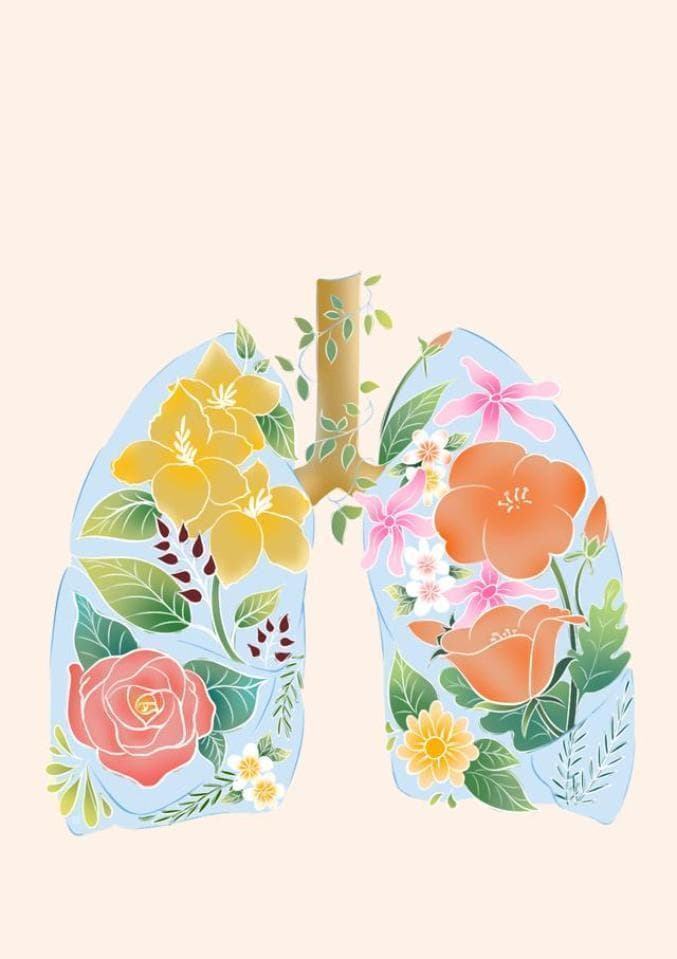 【健康教育知识科普】吸烟对青少年的危害
