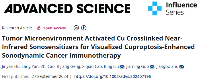Adv Sci：海军军医大学团队开发智能纳米粒子实现可视化肿瘤治疗