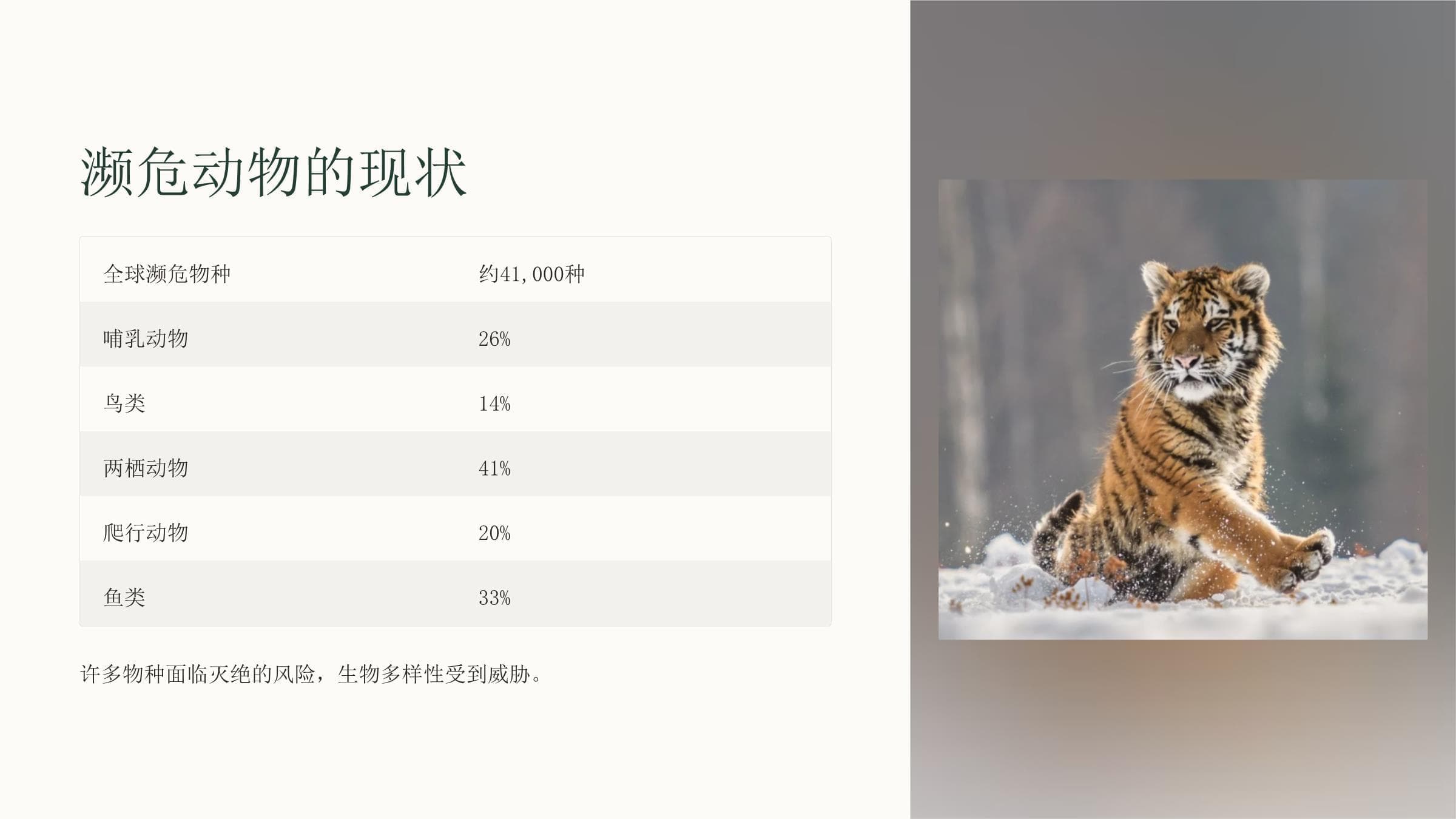 保护濒危动物：从我做起，共筑生命家园