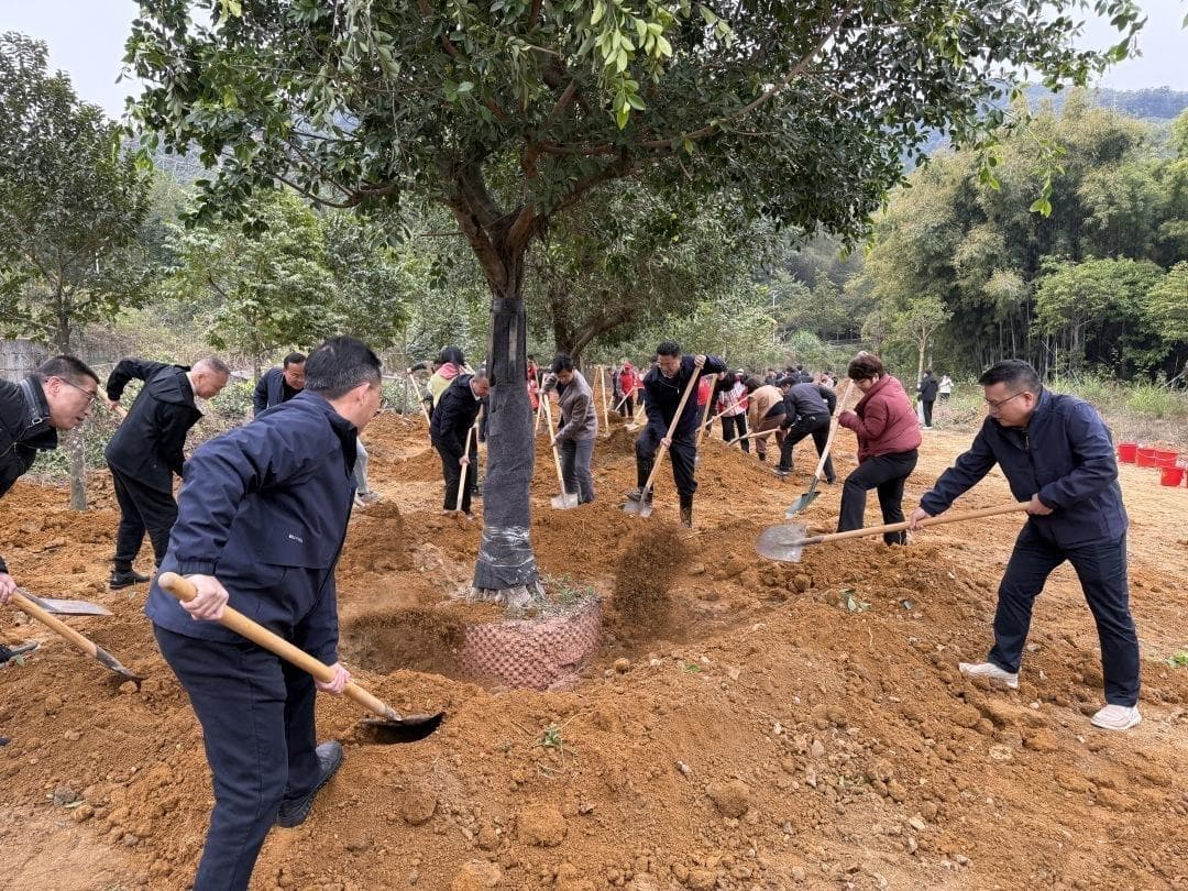 今年广东力争开展义务植树活动2万场次