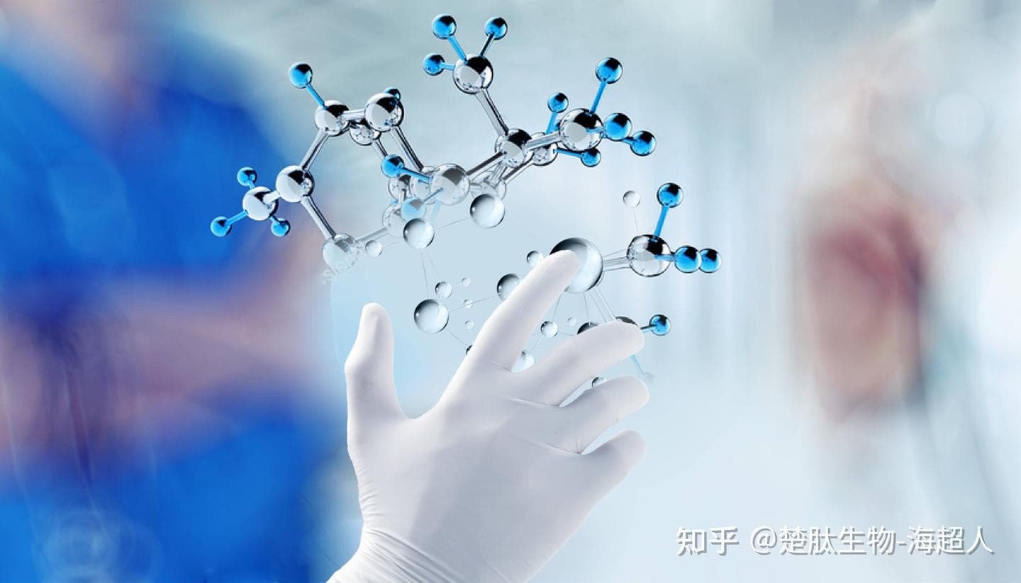 促胰液素：结构、功能与应用