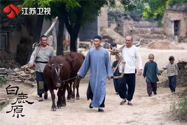 《白鹿原》改编热潮：权力更迭下的故事新编