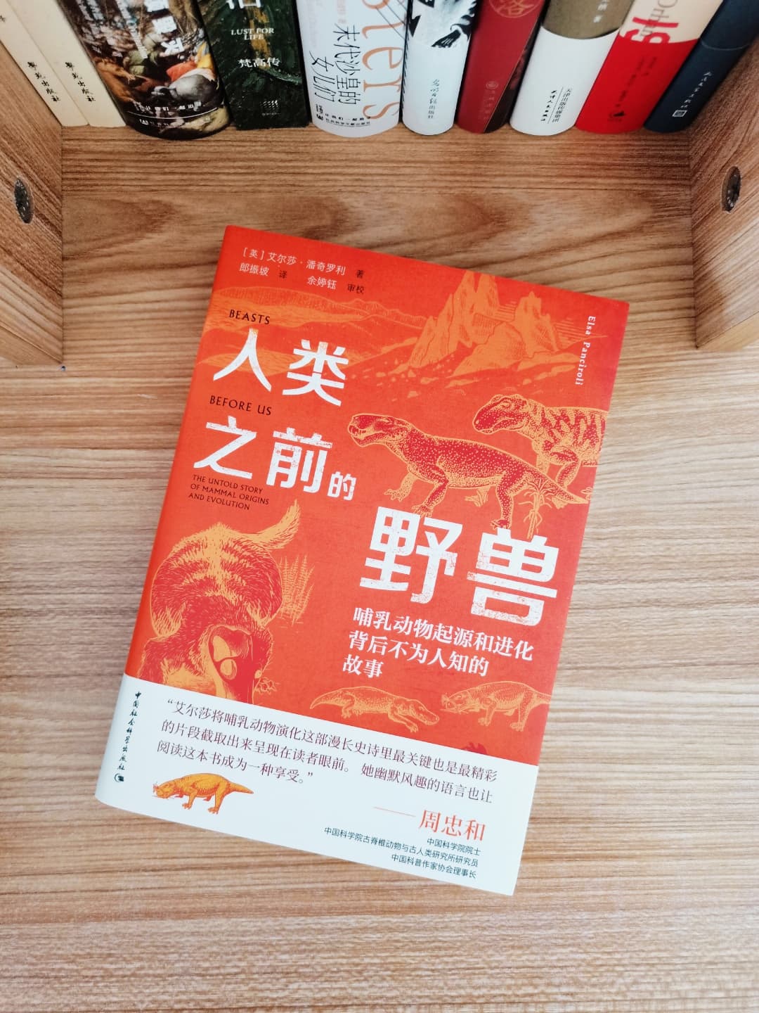 揭秘哺乳动物演化的奇幻之旅，从古老时代到新生代的壮丽转变