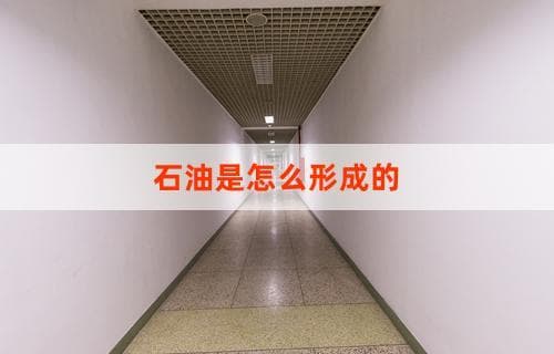 石油是怎么形成的？揭秘天然化石油的诞生过程