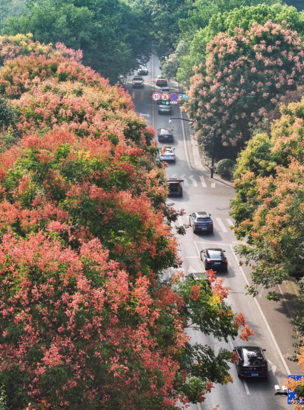 别只知道满觉陇，杭州这个小众赏秋地，地铁16号线直达