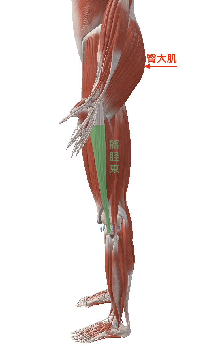 一走路胯骨轴子咔咔响，我这腿还有救吗？