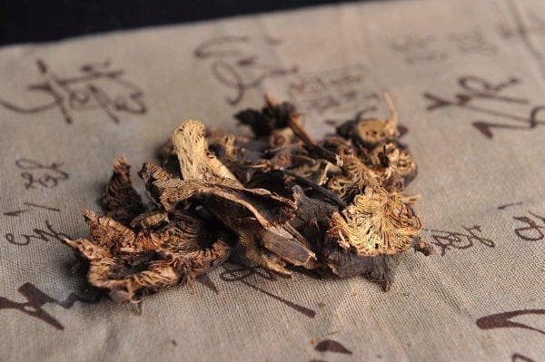 清热生津是什么意思