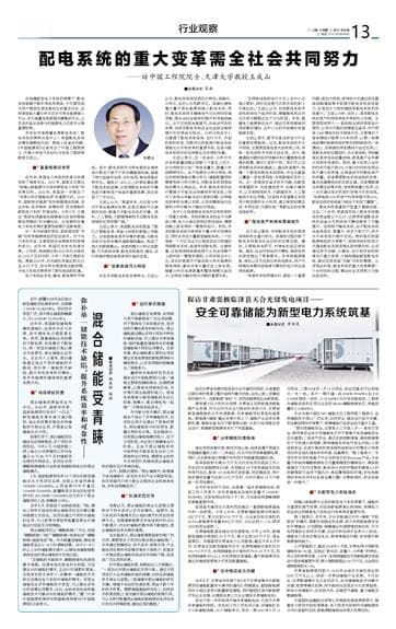 配电系统的重大变革需全社会共同努力