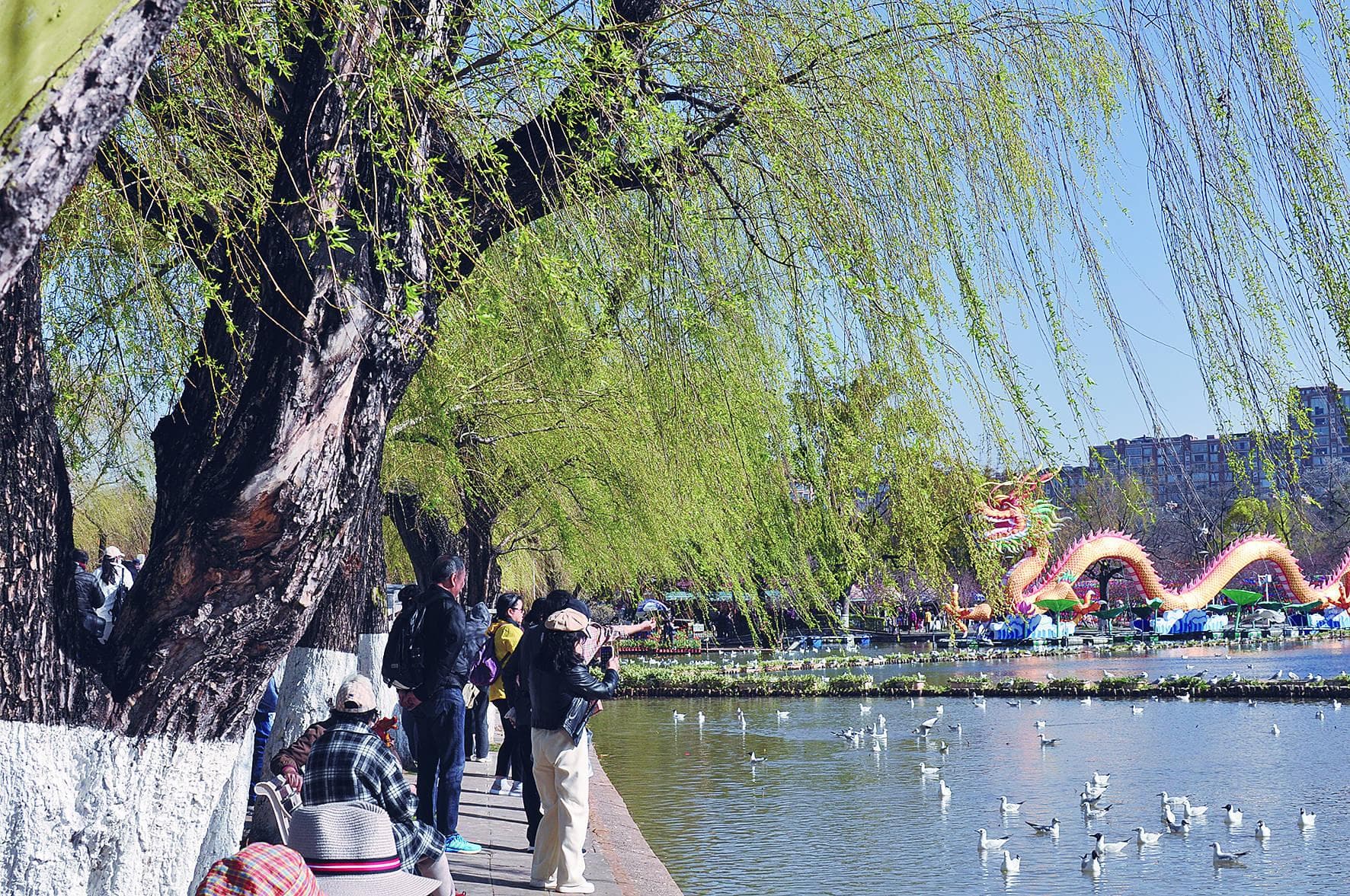 昆明市翠湖公园：激活文旅融合促“三交”的“一池春水”
