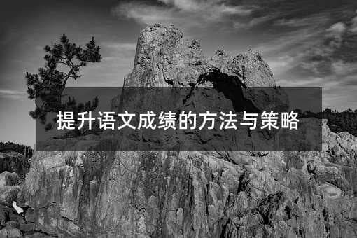 提升语文成绩的方法与策略