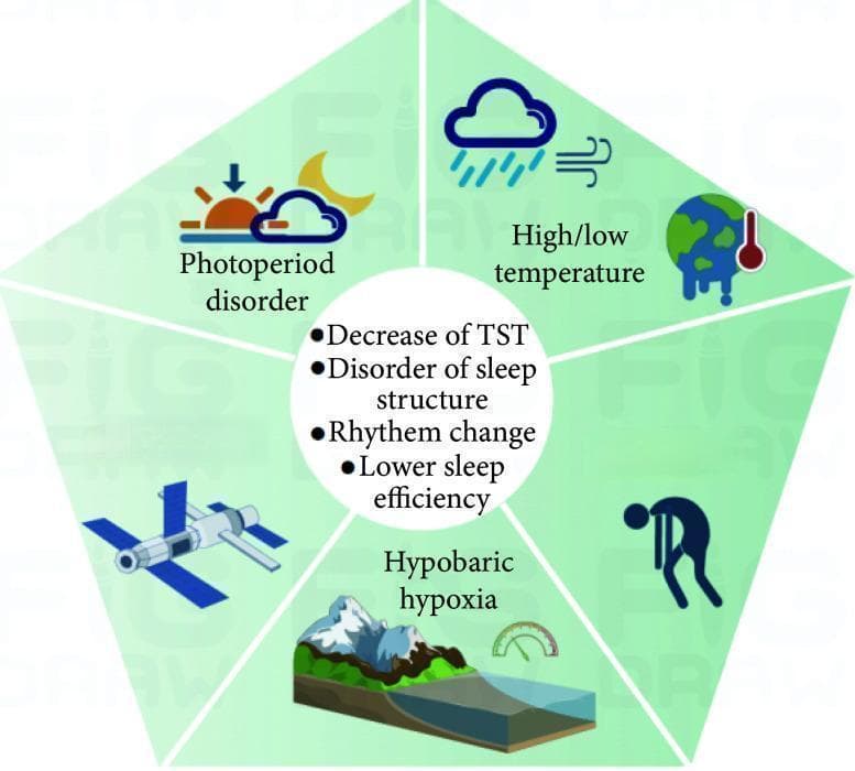 世界睡眠日教你打造优质睡眠环境