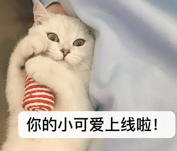 深圳一、二档医保5大区别！