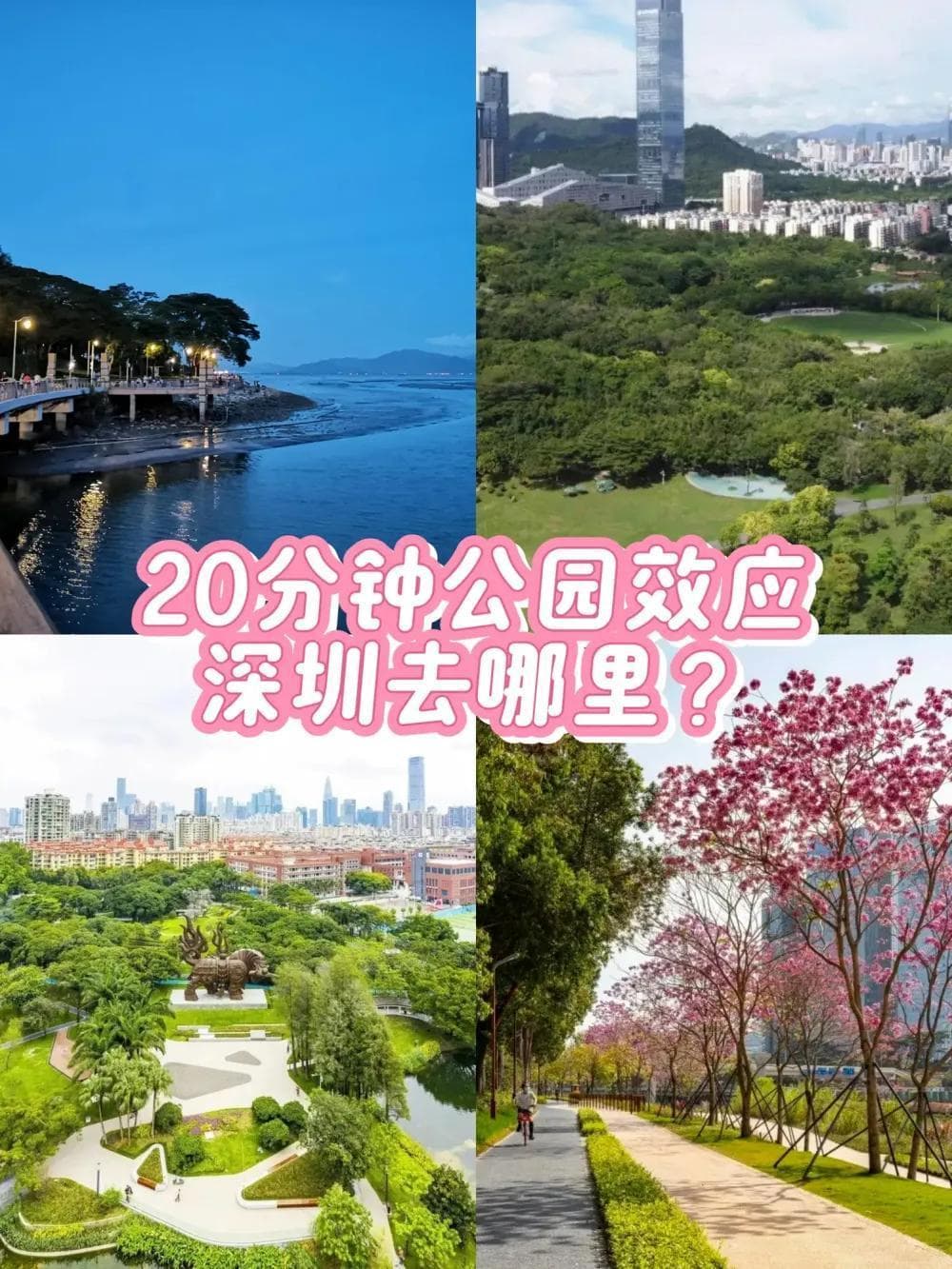 解锁深圳隐藏能量场，20分钟公园效应实地推荐