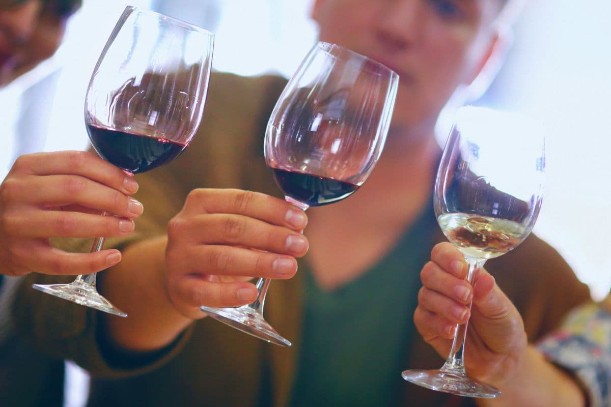 西班牙十大最佳品酒体验和酒庄参观