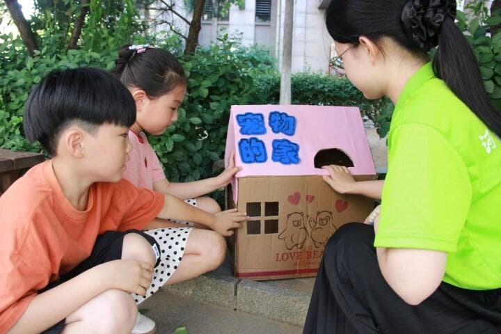 废旧纸箱巧变身 为它们搭建温馨的家