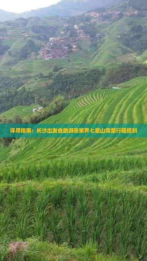 详尽指南：长沙出发自助游张家界七星山完整行程规划