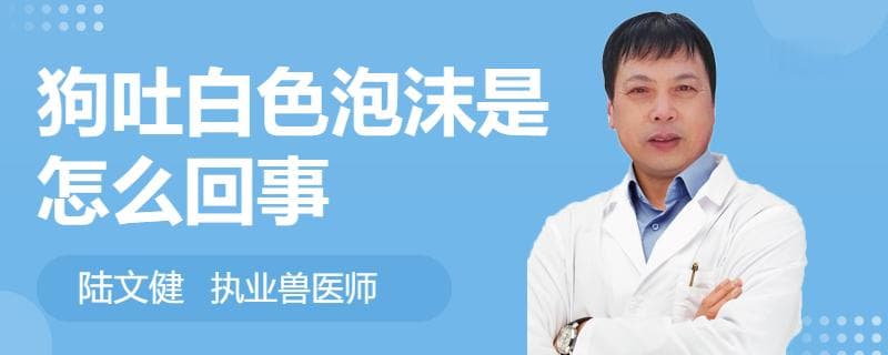狗吐白色泡沫是怎么回事