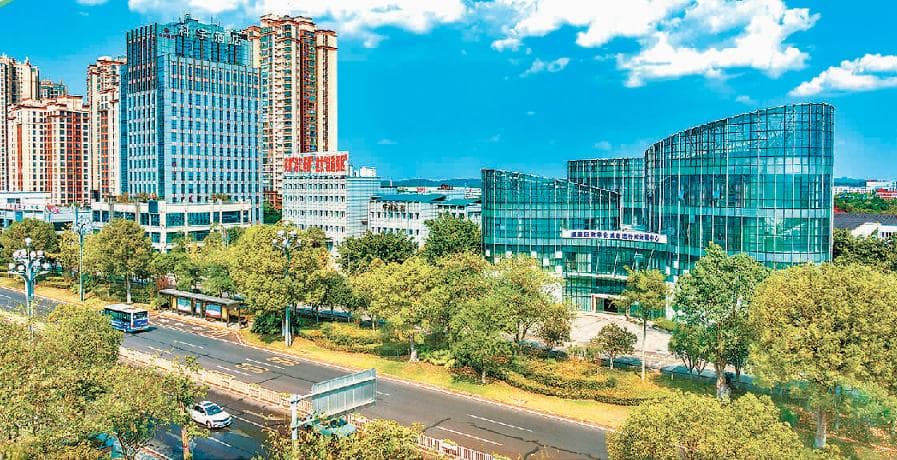 重庆构建现代化产业体系调查：集群发展壮大智造优势