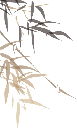 《周易》求是。损，损益相辅，治世有衡
