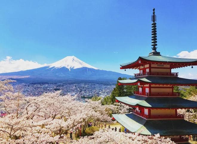 揭秘！在日本工作的薪资统计数据来了
