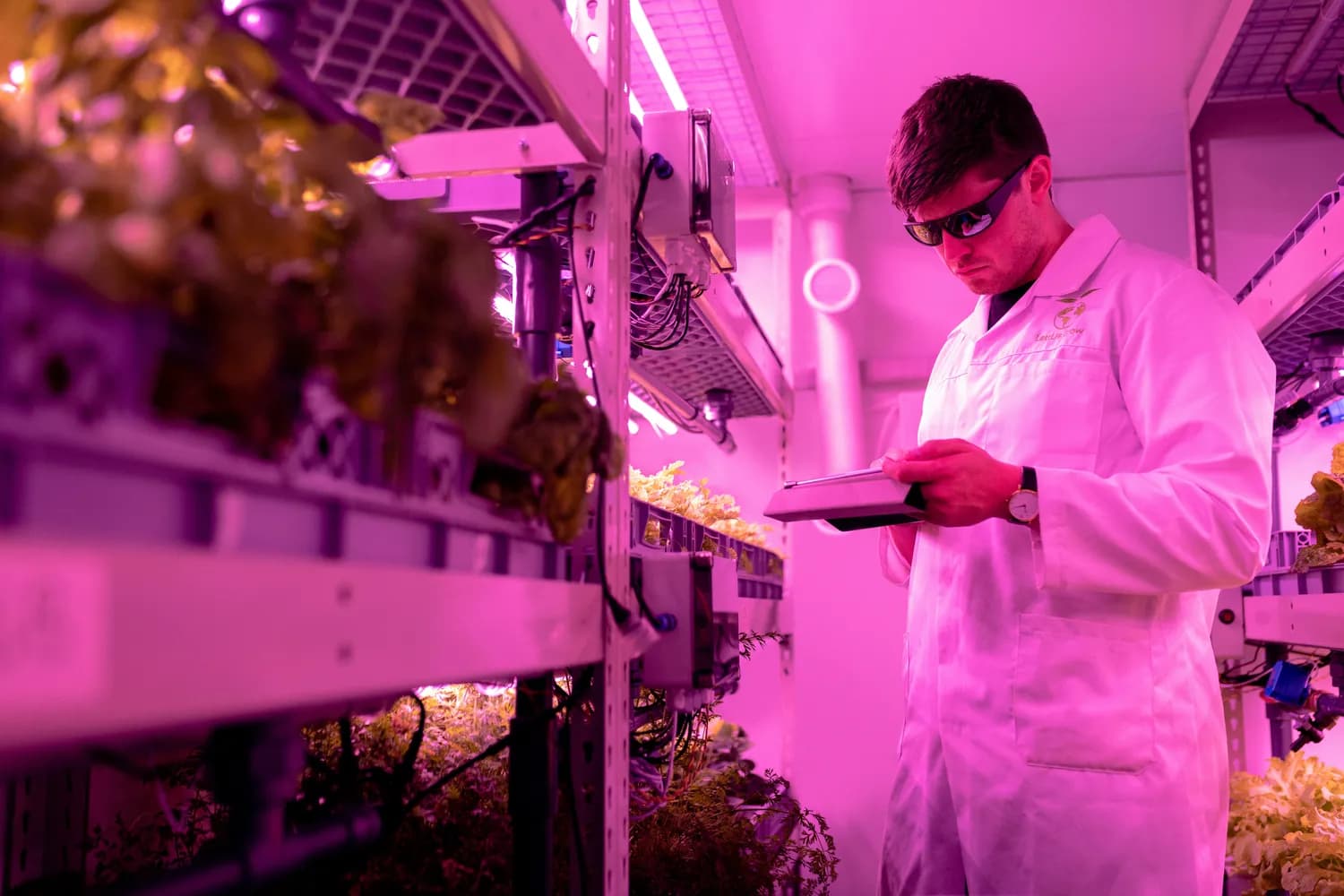 农业行业热招岗位揭秘：植物学专业毕业生成香饽饽