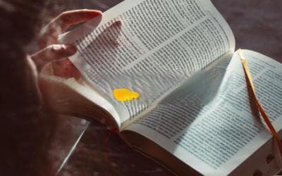 揭秘“被P图”的真相：如何识破那些精心设计的“照骗”？