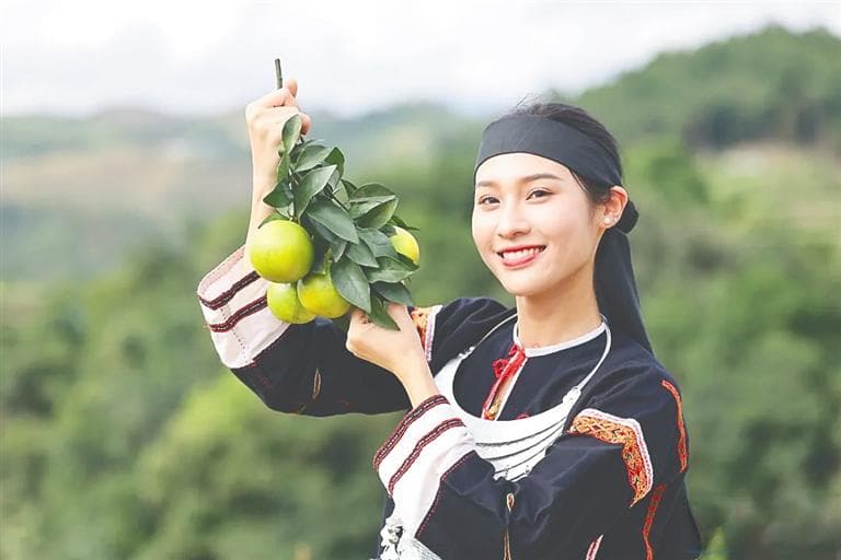 海南琼中：黎母山下育好橙