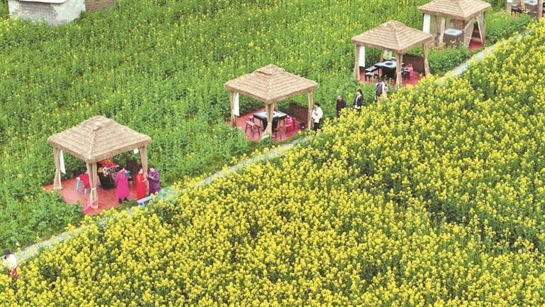 一城花开景色新！贵阳奏响“花经济”城乡协奏曲