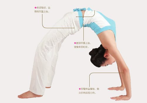 瑜伽体式详解：轮式（Wheel pose）