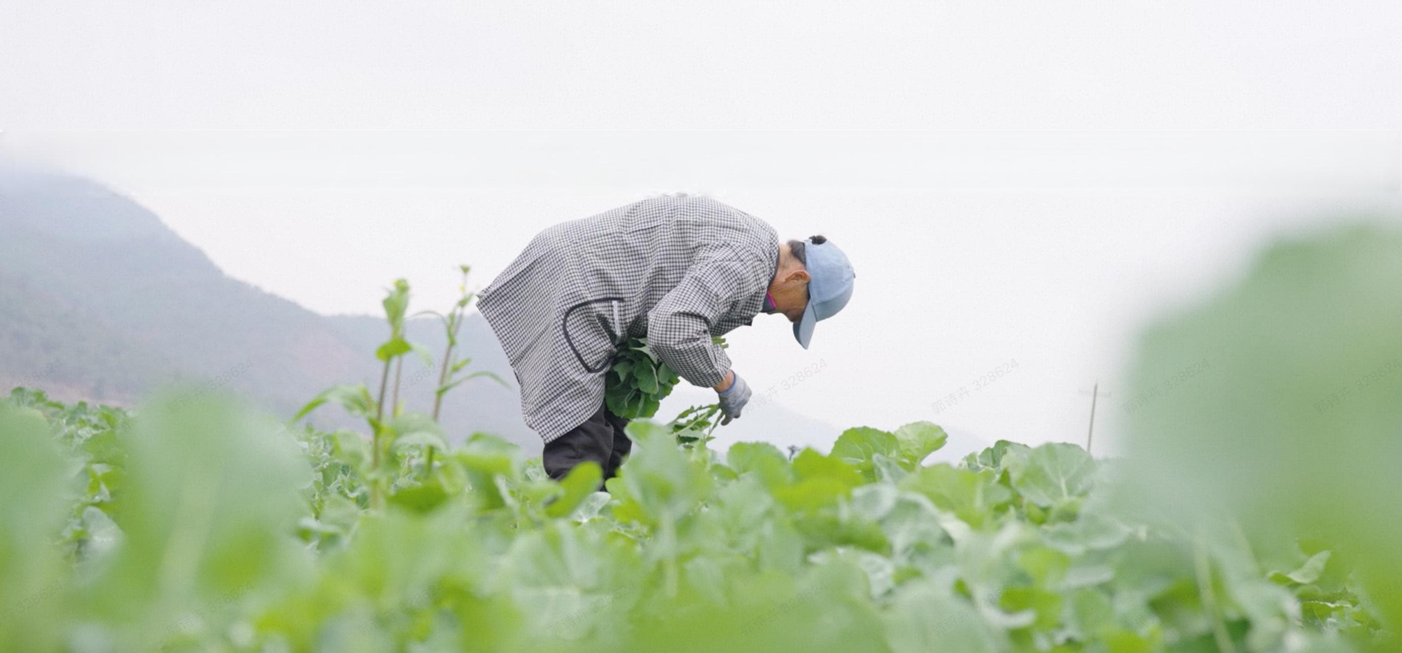农业新质生产力护航春耕生产，看科技“智”造农业新篇