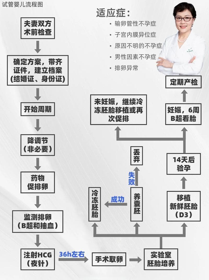 试管婴儿技术与设计试管婴儿的未来展望与伦理探讨