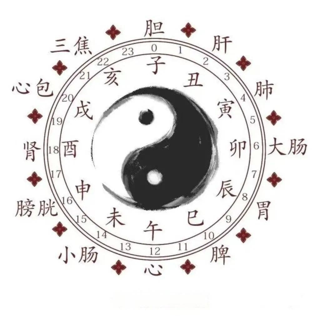 十二时辰，十二经络，享受健康从养生开始