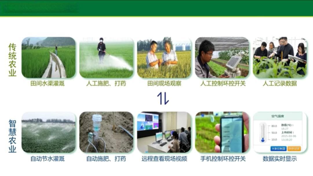 教育部首批18个案例！西农“作物智慧生产实践”成功入选