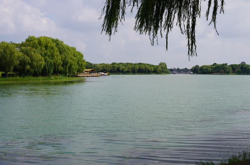 江苏盐城大纵湖景区游玩攻略：芦苇迷宫、东晋水城等景点详解