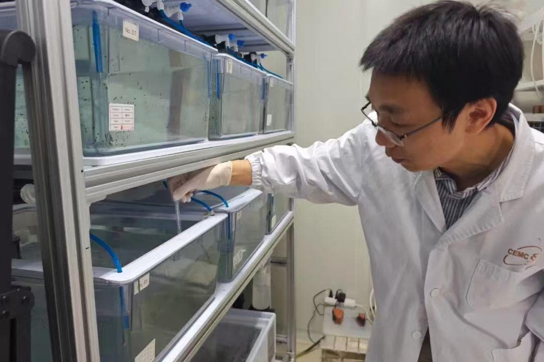 “再生实验室”里，科学家找寻“永生”秘密