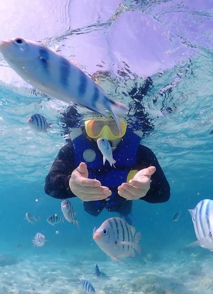 浮潜深潜一般多少米（浮潜大概多深）